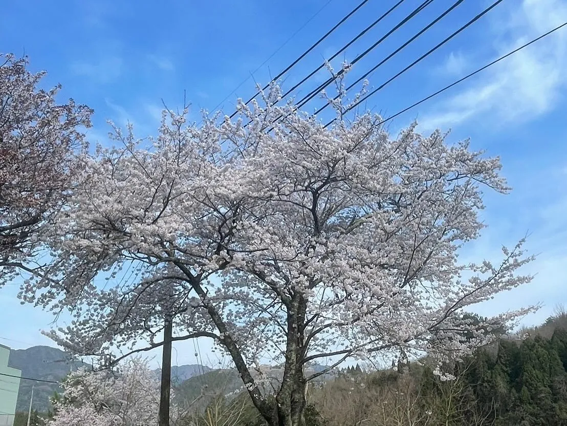 本日はWEED朝来店定例会へご参加頂き誠にありがとうございま...