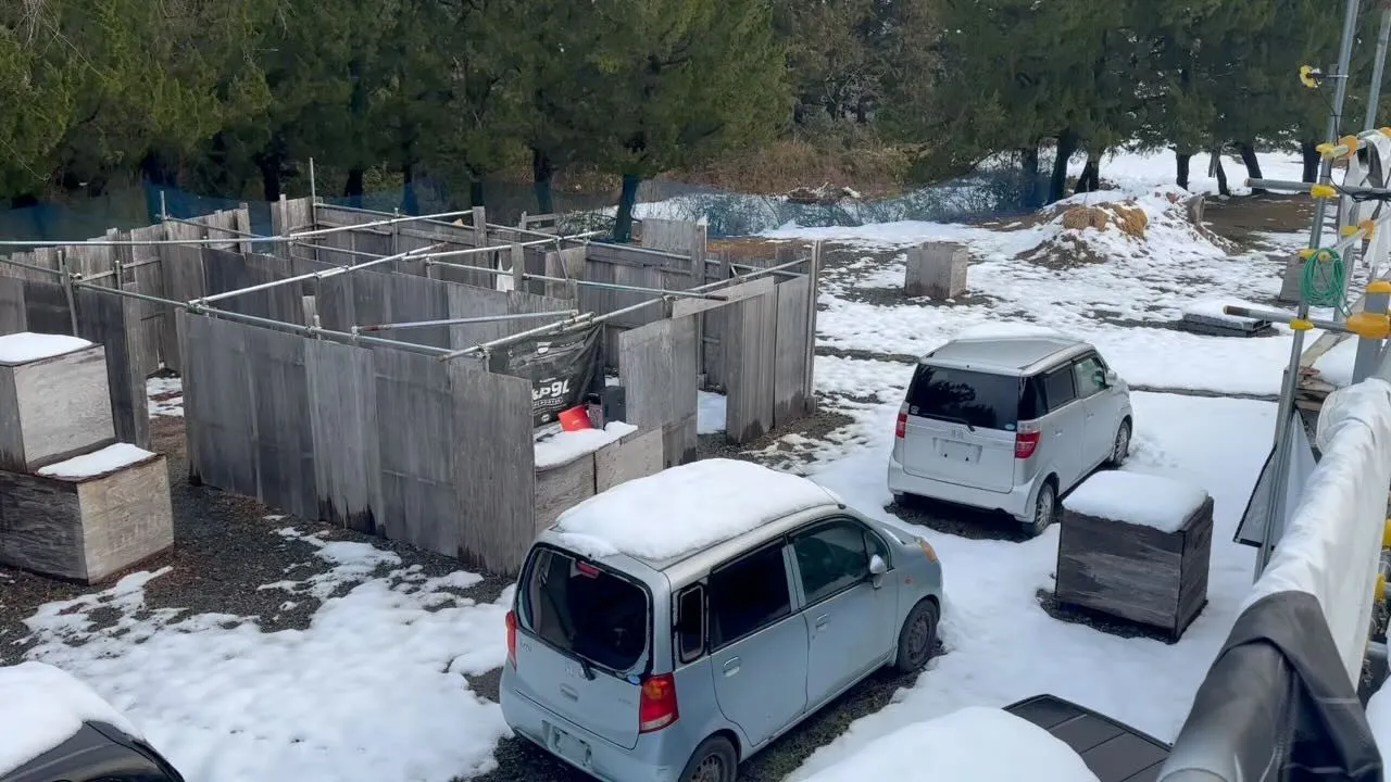 おはよう御座います